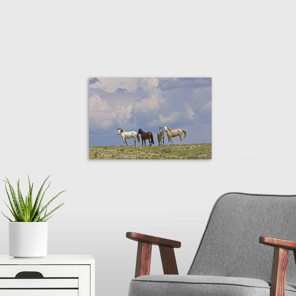 A modern room featuring USA, Wyoming, Carbon County. Wild horses and building storm clouds.