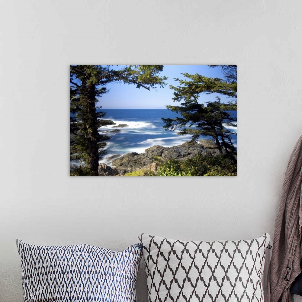 A bohemian room featuring Wild Pacific Trail, Ucluelet, Vancouver Island, British Columbia