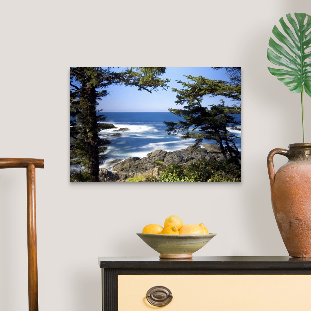 A traditional room featuring Wild Pacific Trail, Ucluelet, Vancouver Island, British Columbia