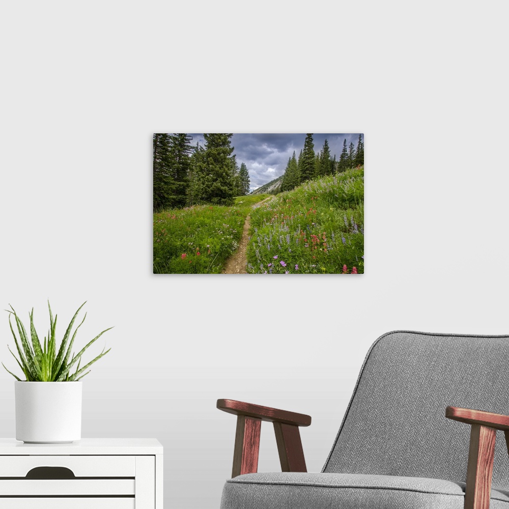 A modern room featuring Wildflowers in the Albion basin, Uinta Wasatch Cache Mountains, Utah