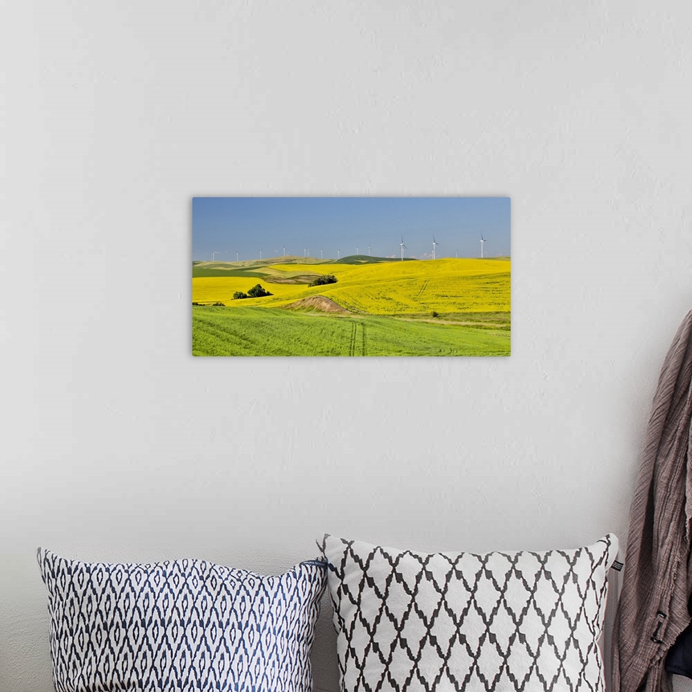 A bohemian room featuring Windmills north of Steptoe with wheat and canola fields in foreground, Eastern Washington