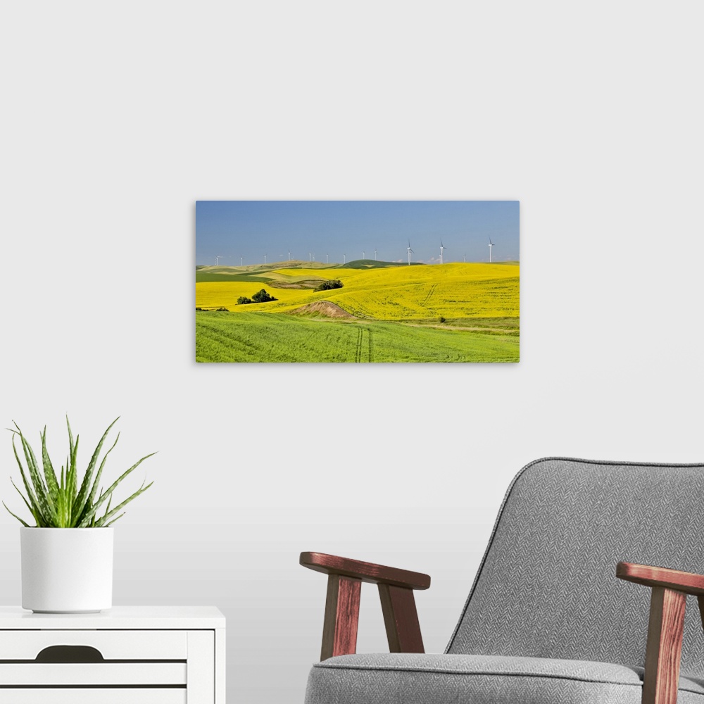 A modern room featuring Windmills north of Steptoe with wheat and canola fields in foreground, Eastern Washington