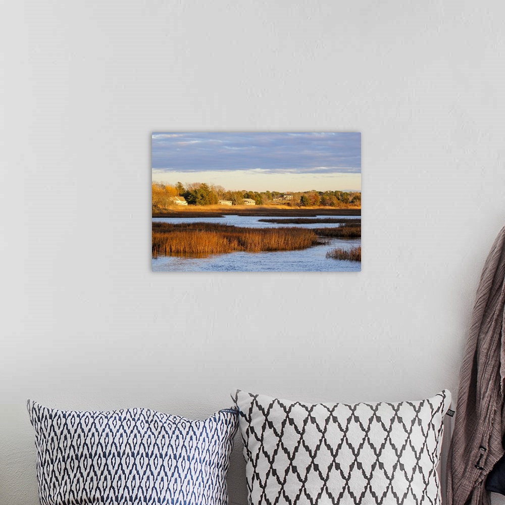 A bohemian room featuring A winter view of wetlands in Barnstable, Cape Cod, Massachusetts, USA, North America