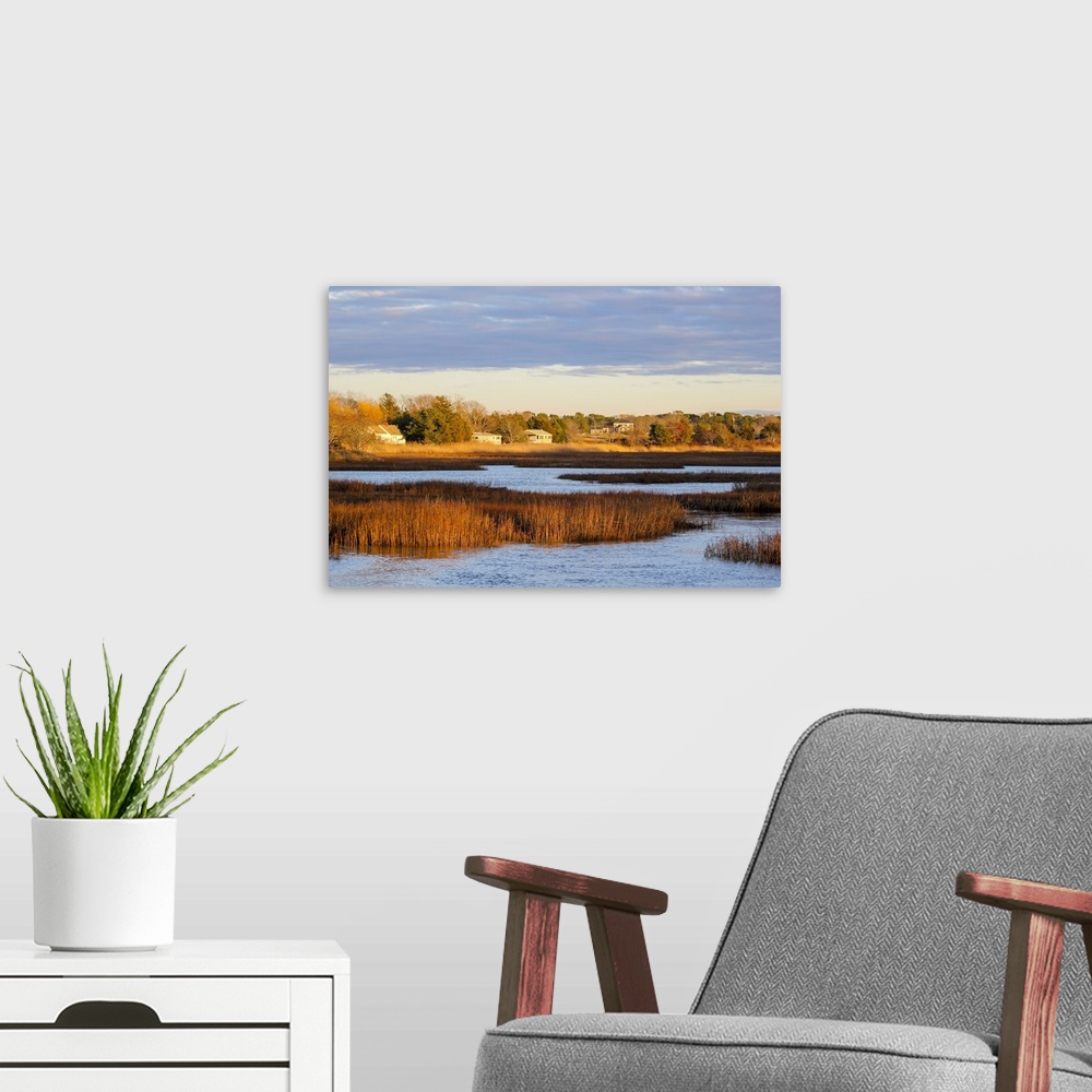 A modern room featuring A winter view of wetlands in Barnstable, Cape Cod, Massachusetts, USA, North America