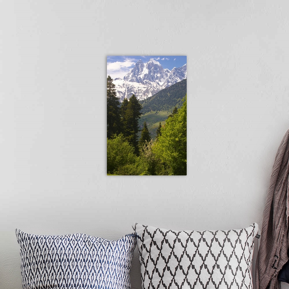 A bohemian room featuring Wonderful mountain scenery of Svanetia with Mount Ushba in the background, Georgia.