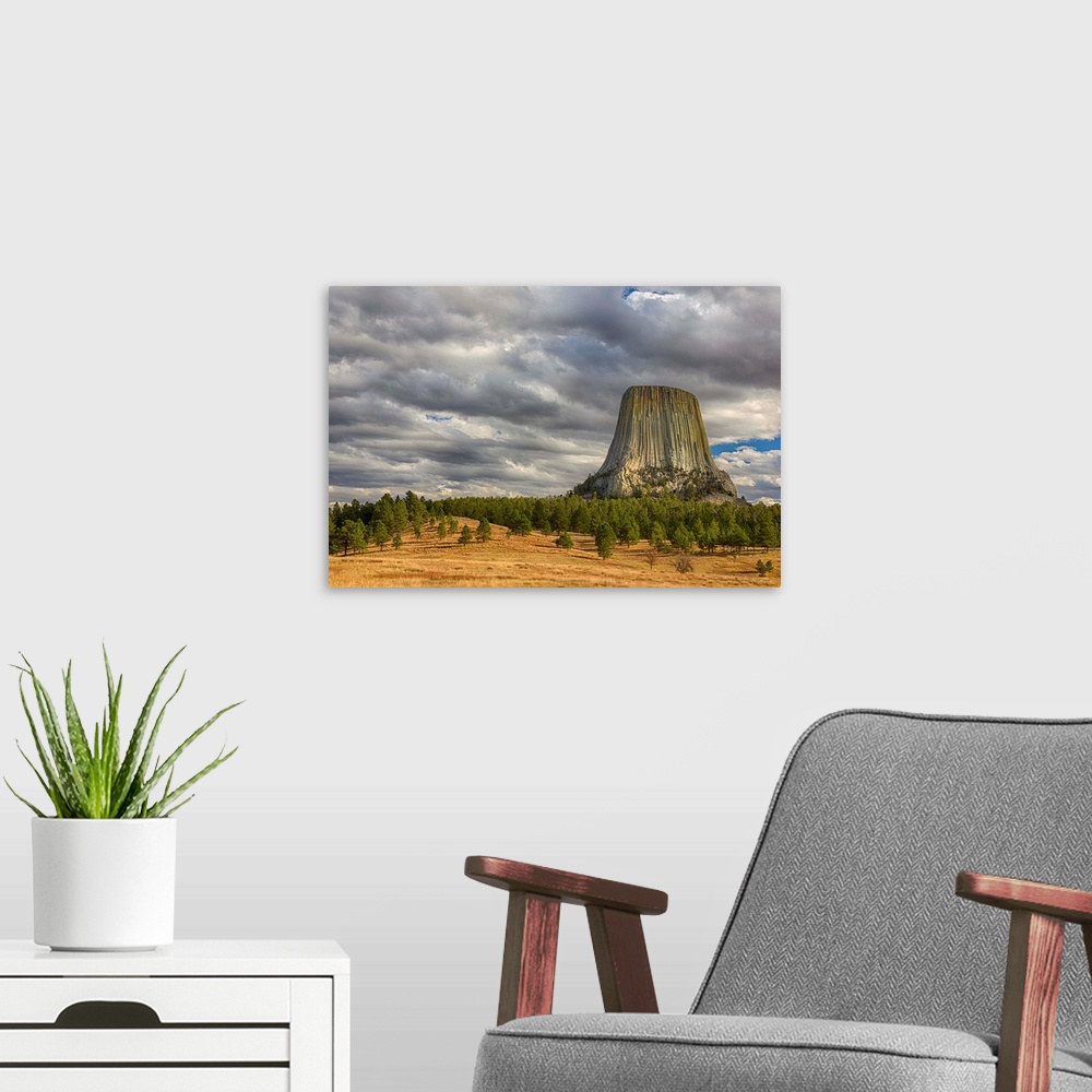 A modern room featuring WY, Devils Tower National Monument, Devils Tower