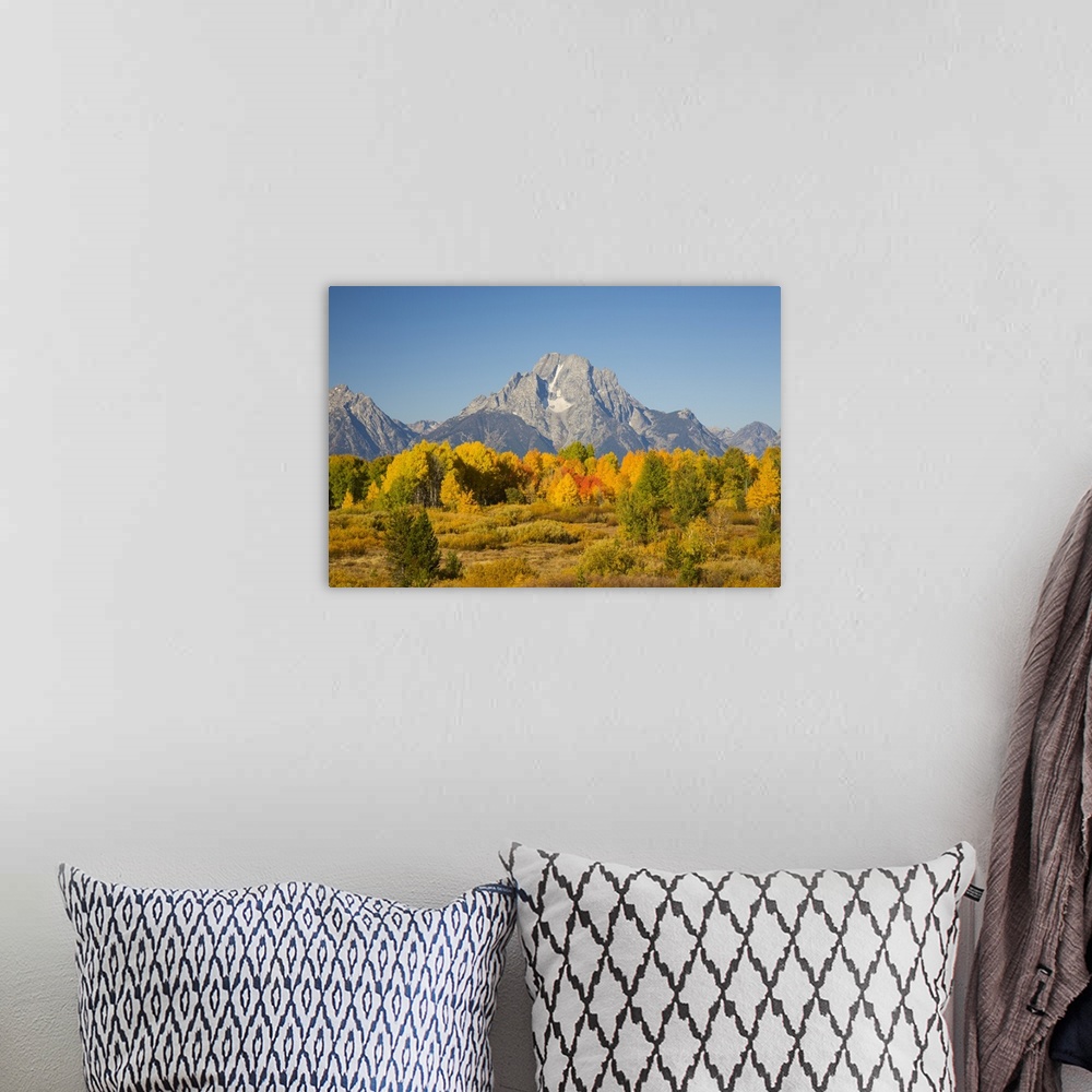 A bohemian room featuring Wyoming, Grand Teton National Park, Aspen Trees with Mount Moran.