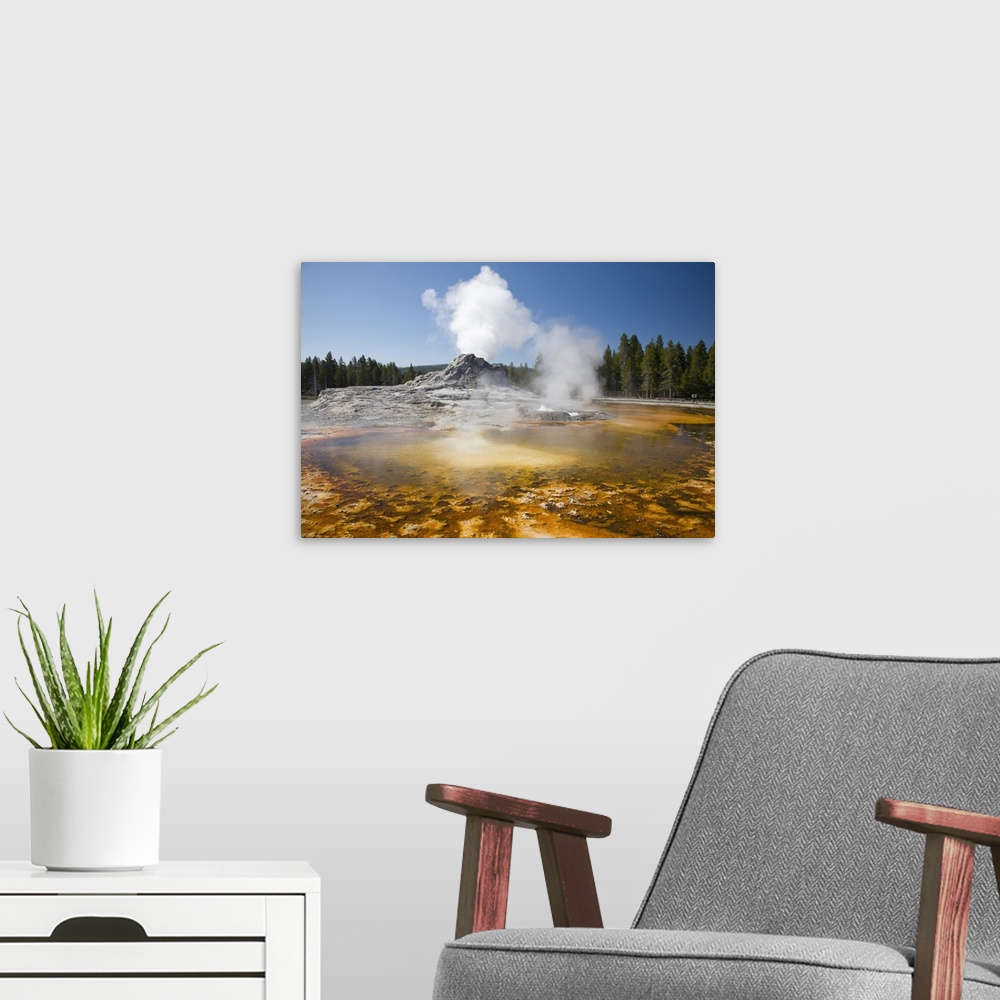 A modern room featuring Wyoming, Yellowstone National Park, Upper Geyser Basin, Crested Pool, colorful bacterial mat.