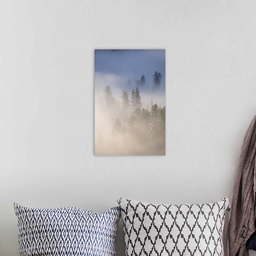A bohemian room featuring USA, Wyoming, Yellowstone National Park. Cold morning creates a fog above the Yellowstone River, ...