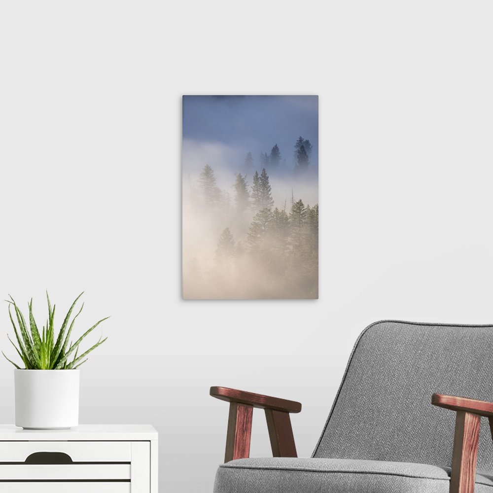 A modern room featuring USA, Wyoming, Yellowstone National Park. Cold morning creates a fog above the Yellowstone River, ...