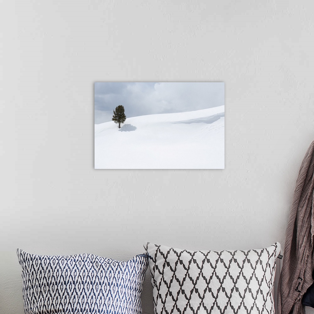 A bohemian room featuring Yellowstone National Park, Lamar Valley. A lone trees standing out in the snowy landscape.