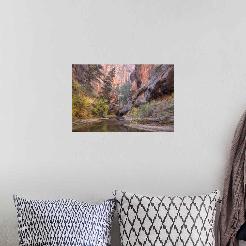 A bohemian room featuring Zion National Park, Left Fork of North Creek, at the Subway, Utah.