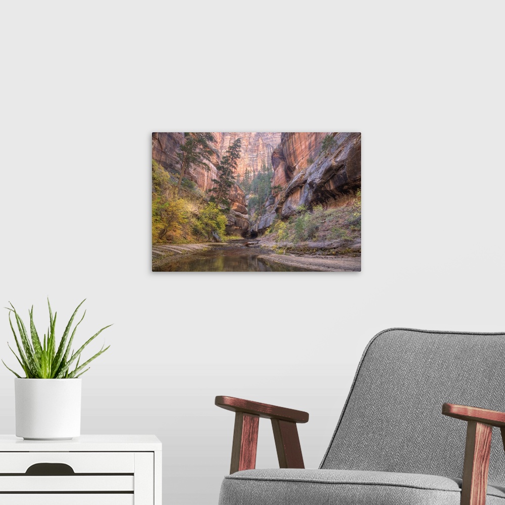 A modern room featuring Zion National Park, Left Fork of North Creek, at the Subway, Utah.