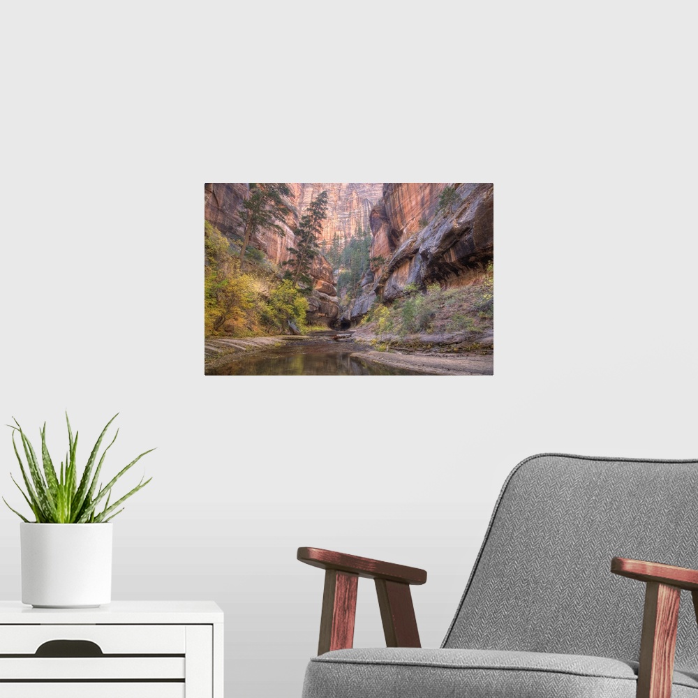 A modern room featuring Zion National Park, Left Fork of North Creek, at the Subway, Utah.