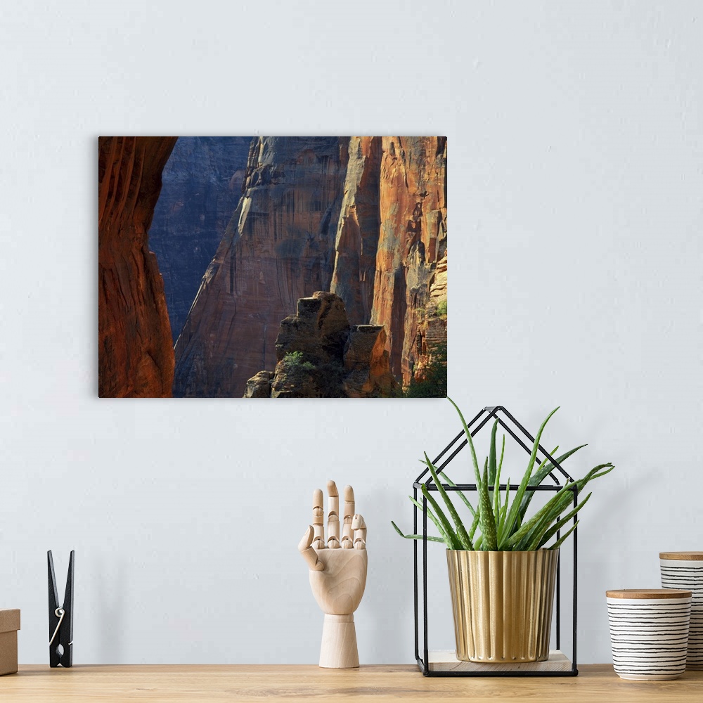 A bohemian room featuring Zion National Park, Utah, cliffs above Zion Canyon near Scouts Lookout, West Rim Trail.