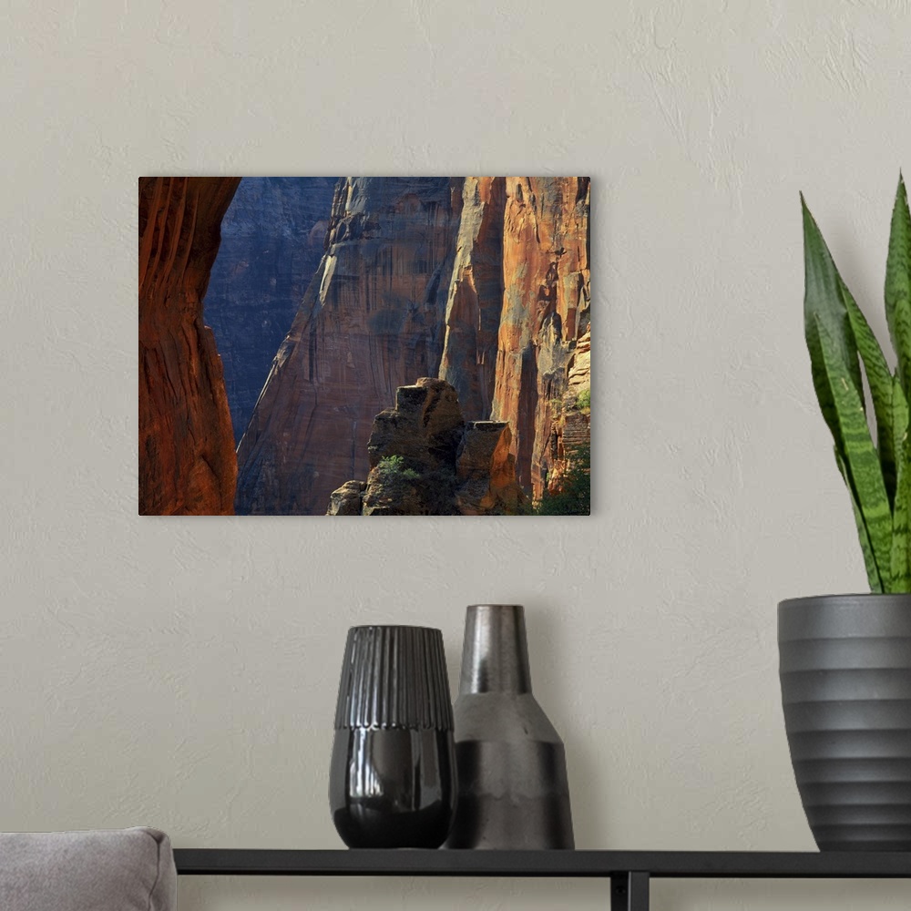 A modern room featuring Zion National Park, Utah, cliffs above Zion Canyon near Scouts Lookout, West Rim Trail.