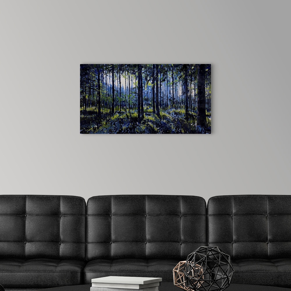 A modern room featuring Nantahala National Forest