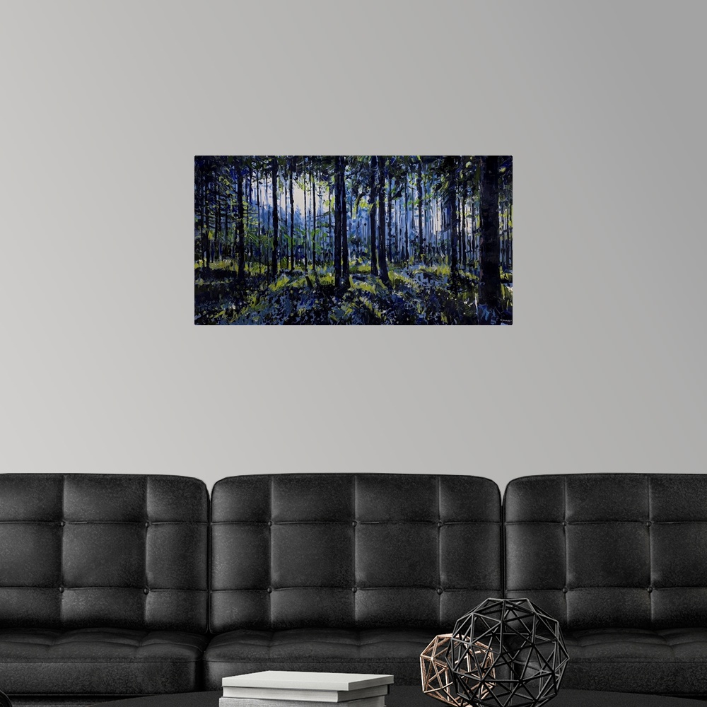 A modern room featuring Nantahala National Forest