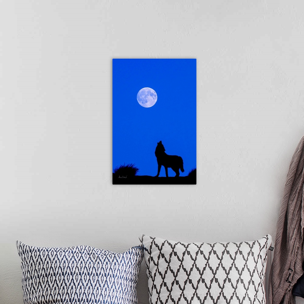 A bohemian room featuring Composite of a captive grey wolf howling at the moon. Original moon in the photo replaced with de...