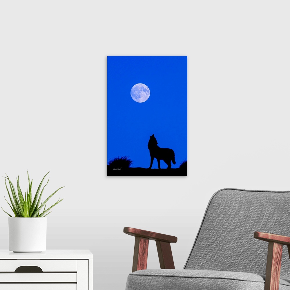 A modern room featuring Composite of a captive grey wolf howling at the moon. Original moon in the photo replaced with de...