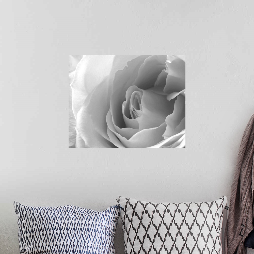 A bohemian room featuring A close up of a white rose blossom in black and white.