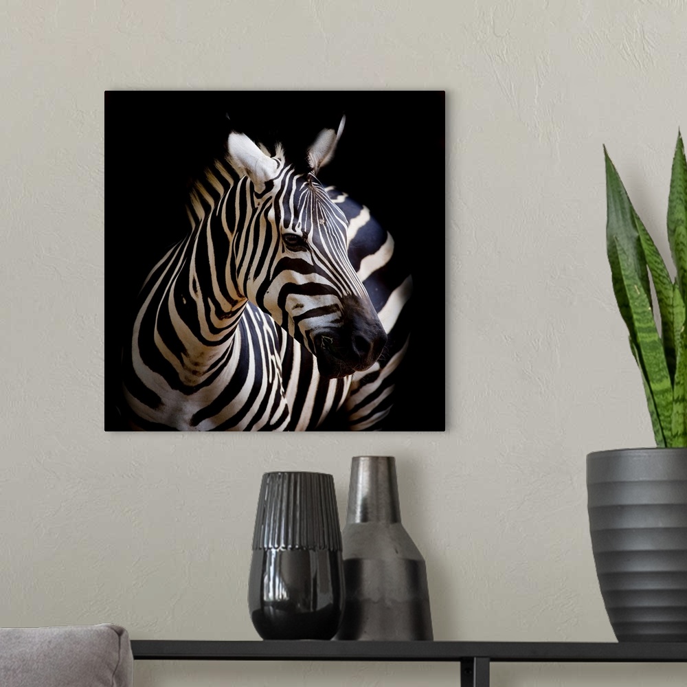 A modern room featuring A headshot of a Burchell's zebra.