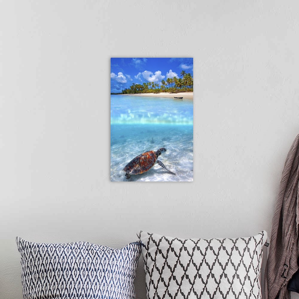 A bohemian room featuring Green sea turtle and tropical beach above and below water.
