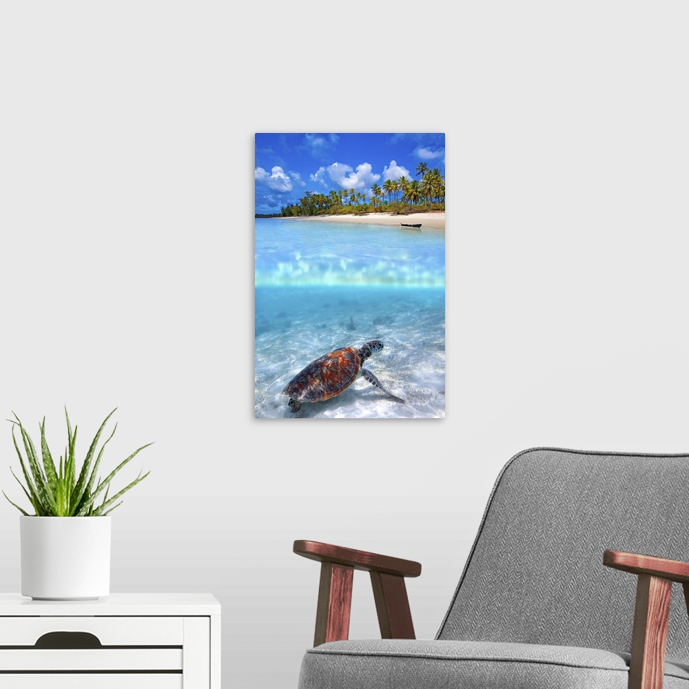 A modern room featuring Green sea turtle and tropical beach above and below water.