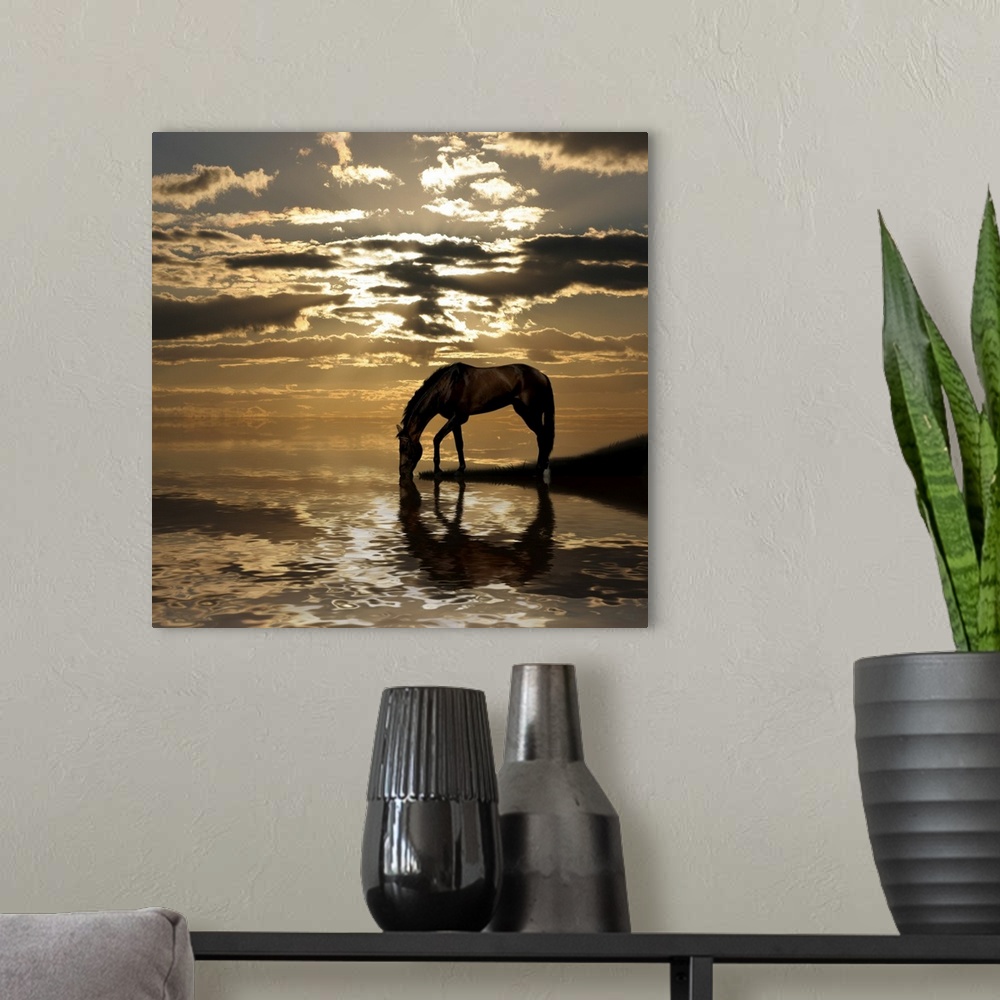 A modern room featuring Brown arabian horse portrait on evening sky background.