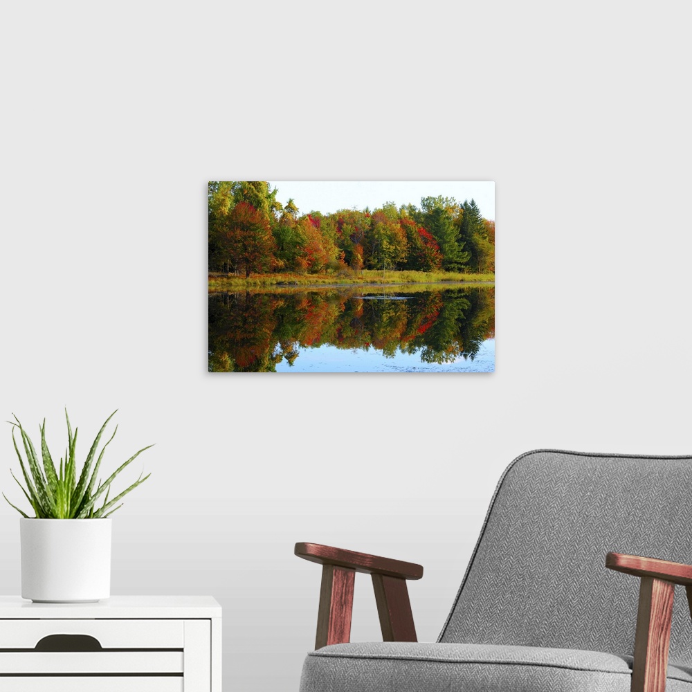 A modern room featuring Scenic autumn lake in late September.