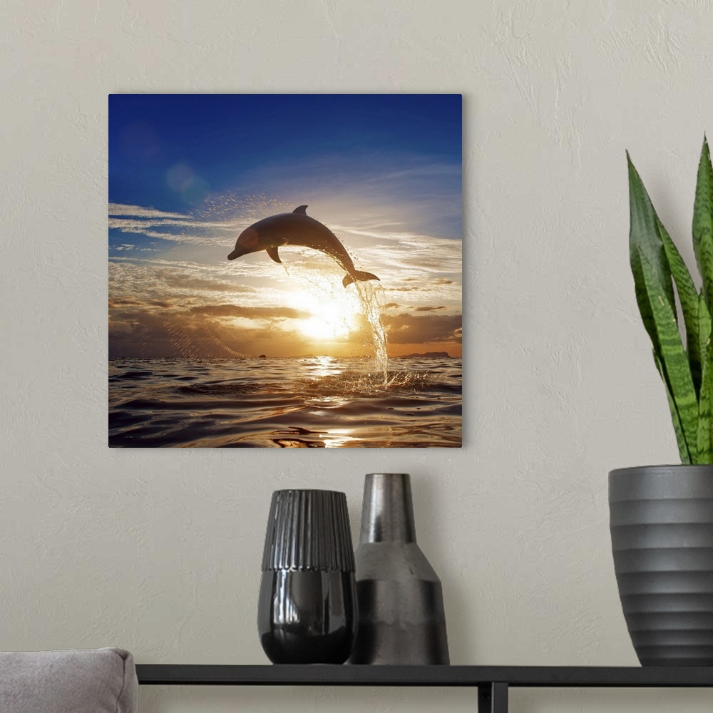 A modern room featuring Beautiful dolphin leaping from shining sunset sea water surface.