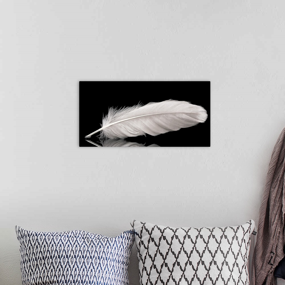 A bohemian room featuring Beautiful feather on black background