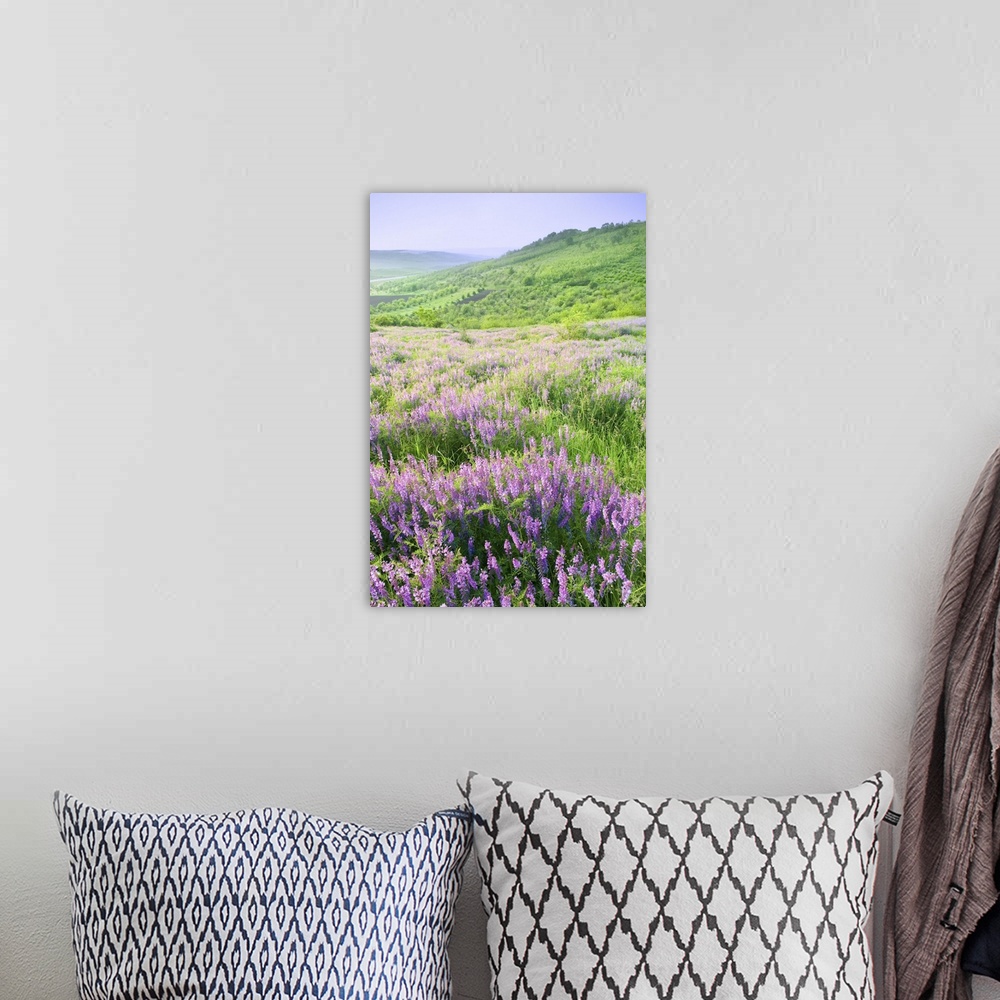 A bohemian room featuring Beautiful rural landscape with violet flowers.