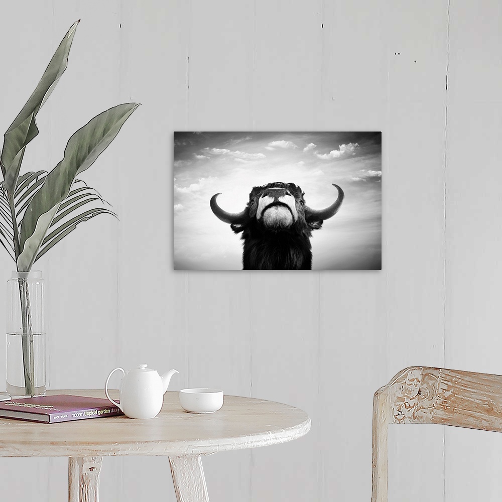 A farmhouse room featuring Black and white impudent bull portrait.