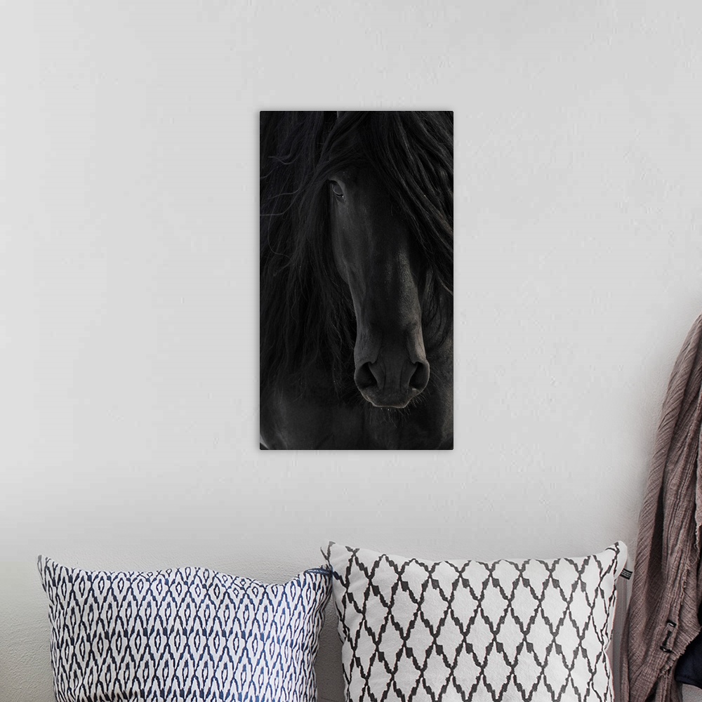 A bohemian room featuring Black Friesian horse portrait close up.