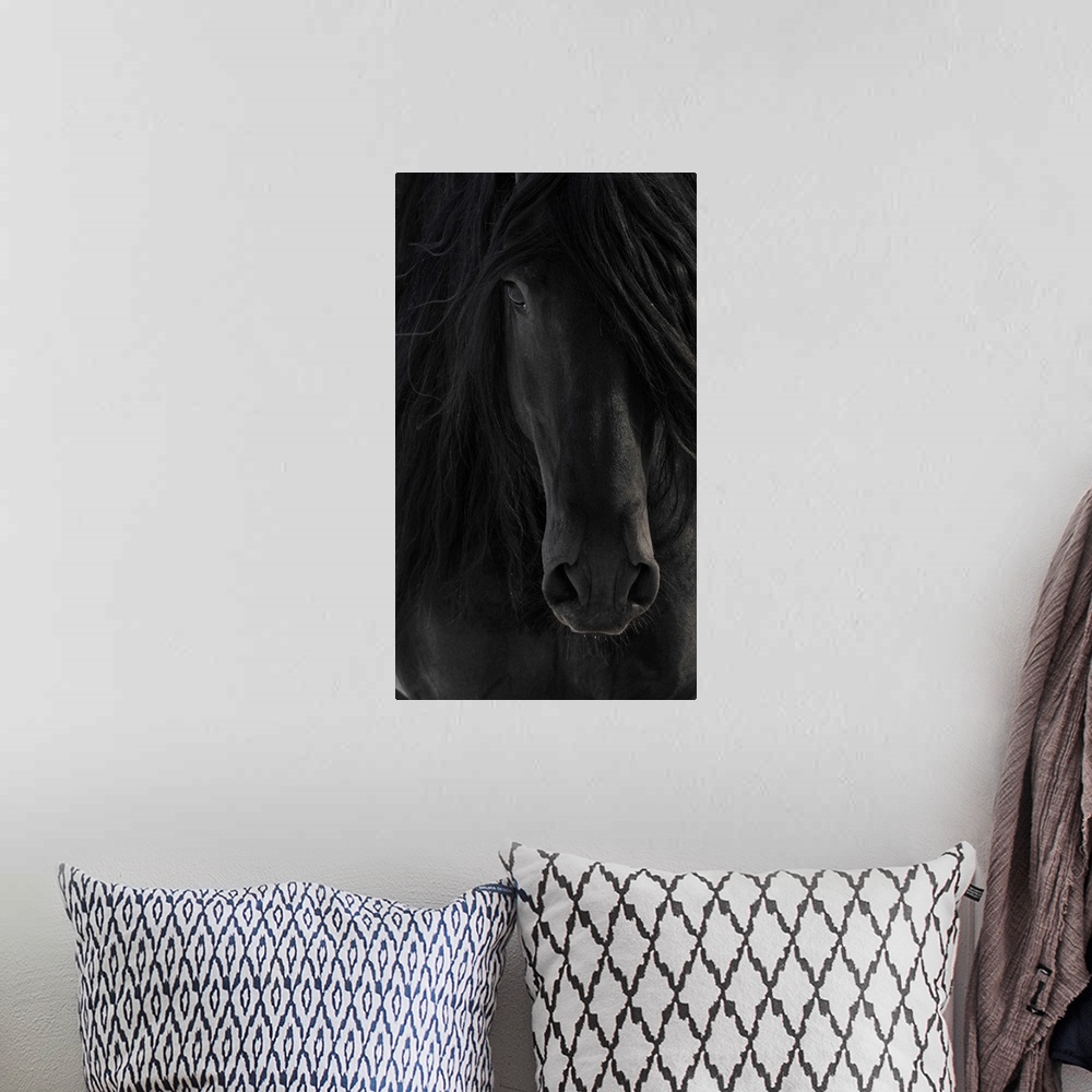 A bohemian room featuring Black Friesian horse portrait close up.