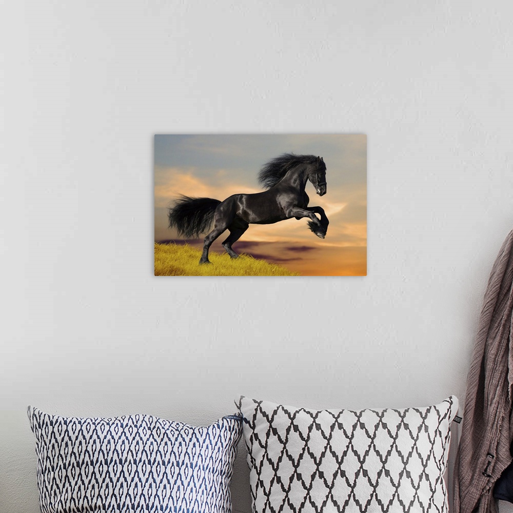 A bohemian room featuring Black horse galloping on a hill at sunset.