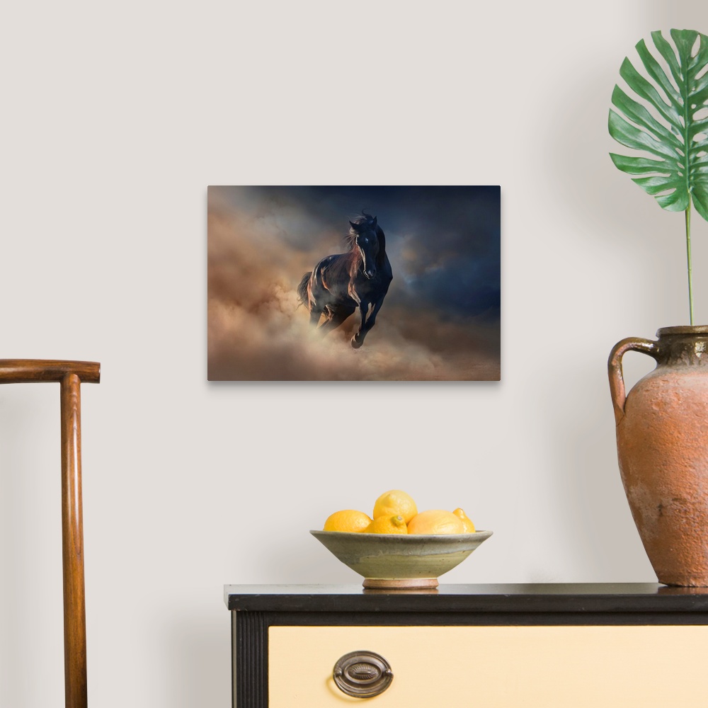 A traditional room featuring Beautiful black stallion run in desert dust against sunset sky.