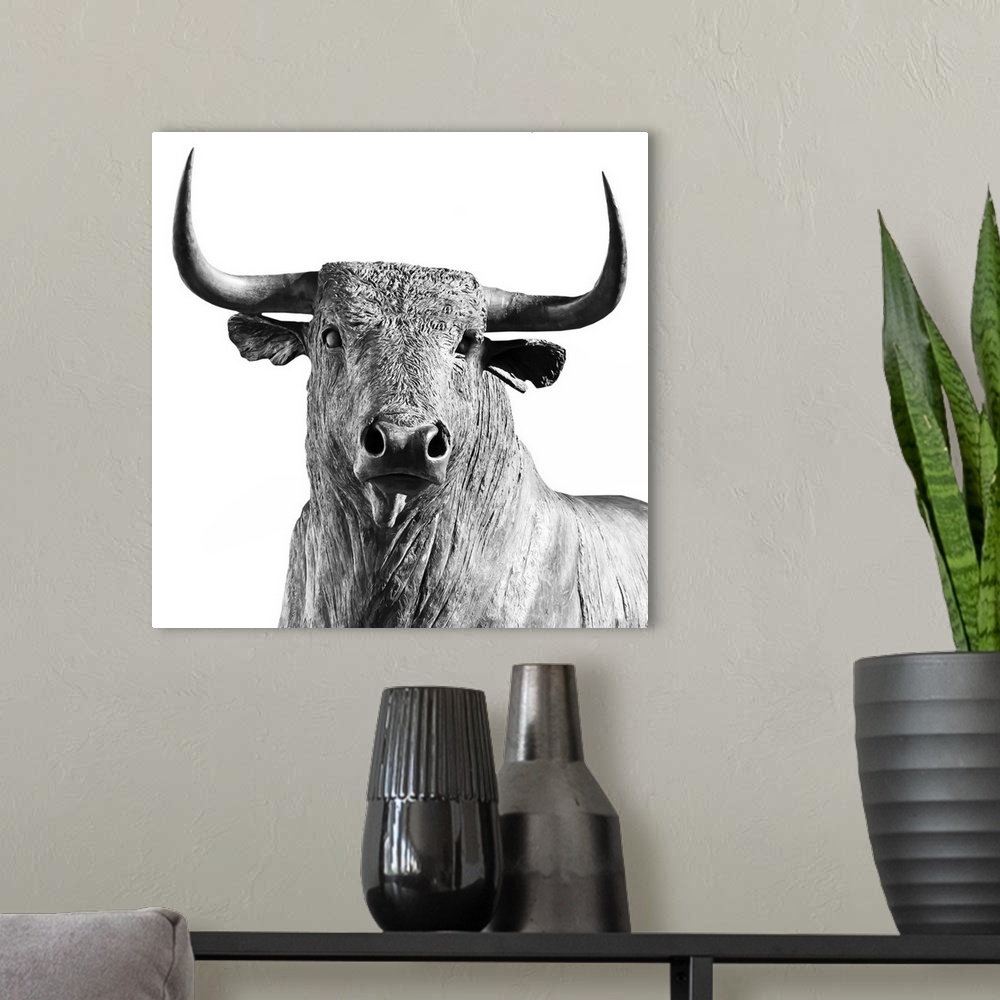 A modern room featuring A bull on a white background.
