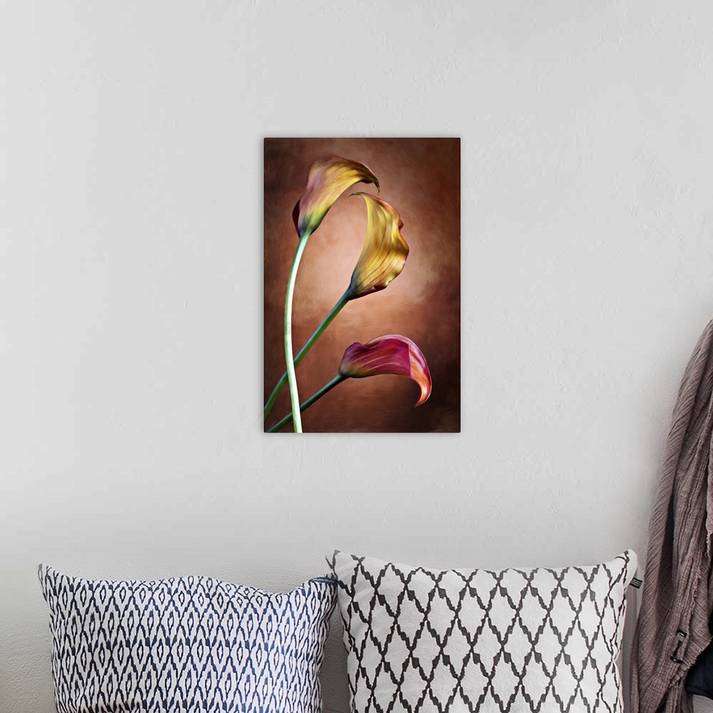A bohemian room featuring Zantedeschia aethiopica, painted Calla lily flower in front of red bachground.