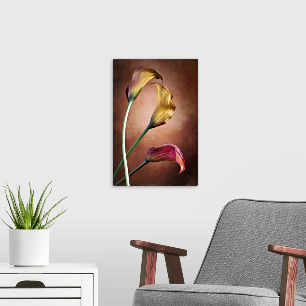 A modern room featuring Zantedeschia aethiopica, painted Calla lily flower in front of red bachground.