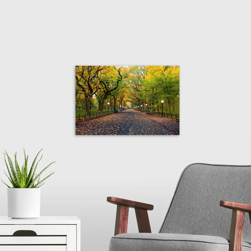 A modern room featuring Image of The Mall area in Central Park, New York City in autumn.