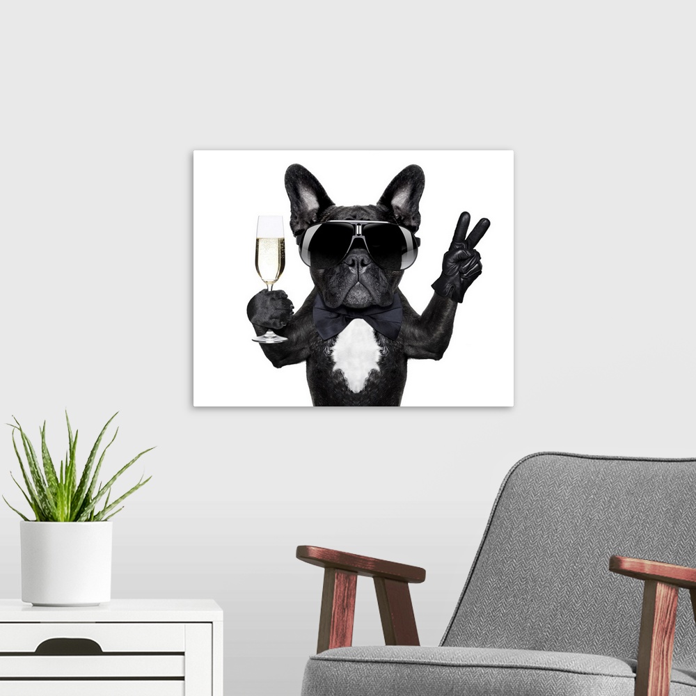 A modern room featuring French bulldog with a champagne glass in one hand and the peace sign in the other.