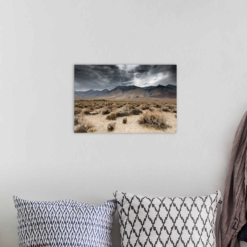 A bohemian room featuring Panoramic view of dark clouds in Death Valley National Park, Nevada, USA.
