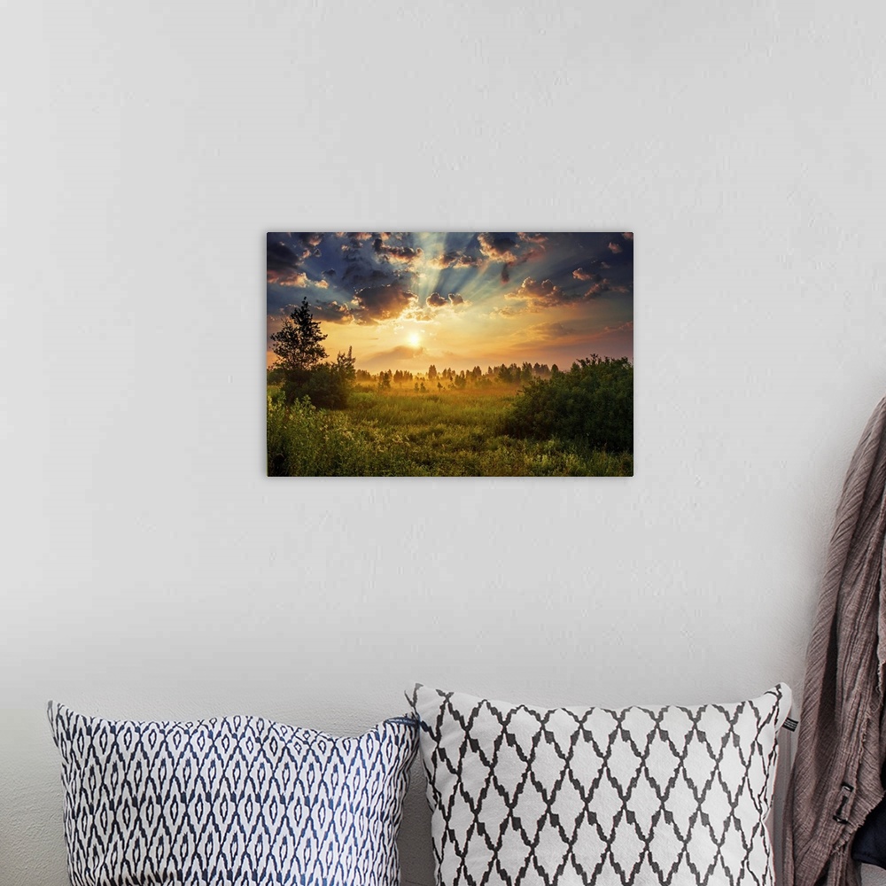A bohemian room featuring Summer landscape of sunny but foggy field at dawn.