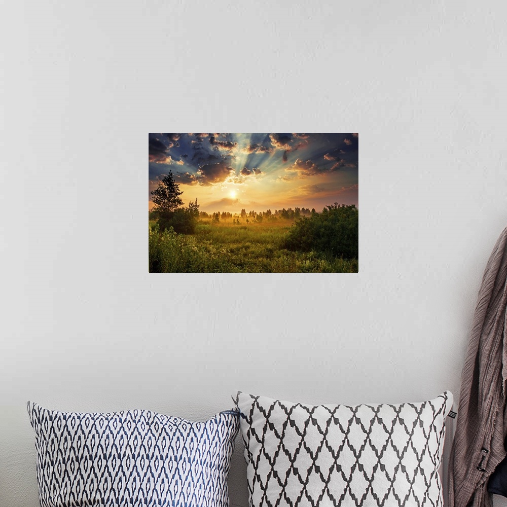A bohemian room featuring Summer landscape of sunny but foggy field at dawn.
