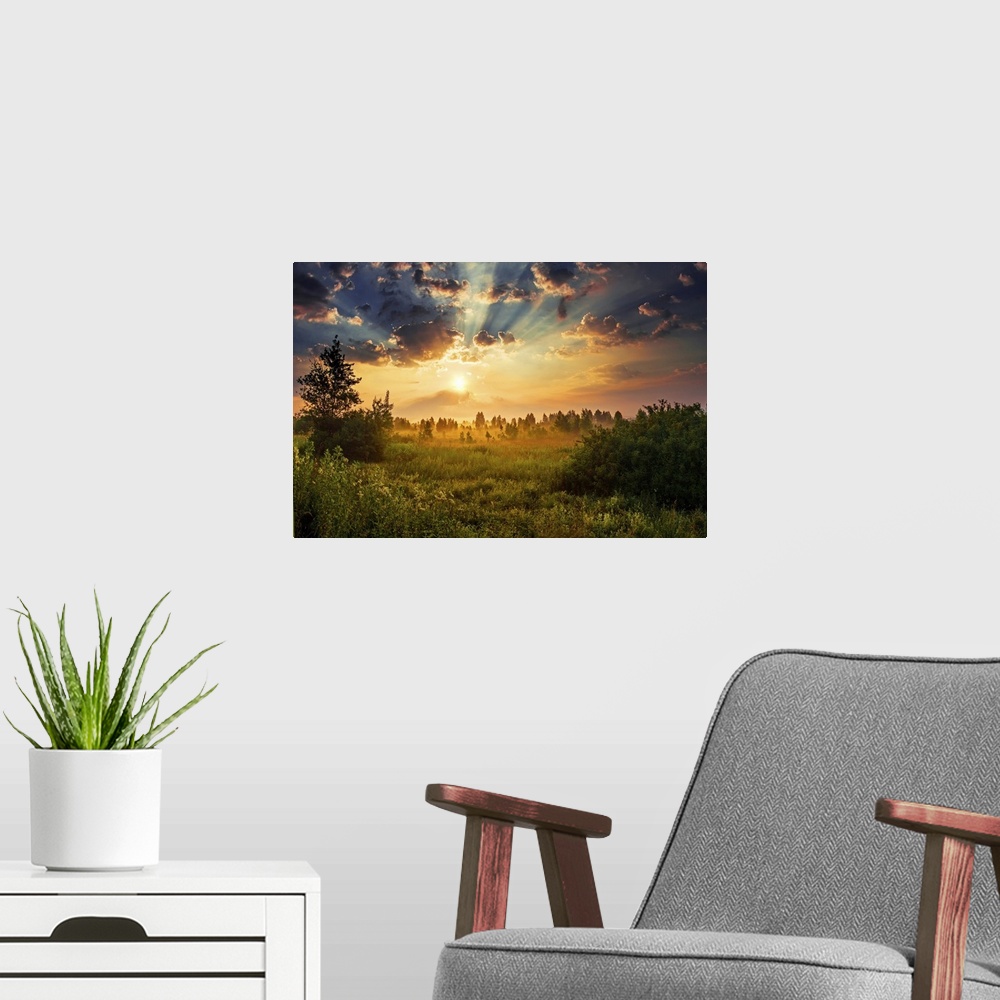 A modern room featuring Summer landscape of sunny but foggy field at dawn.