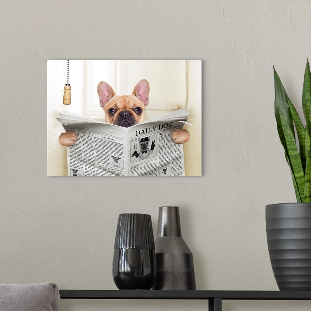 A modern room featuring Fawn French bulldog dog sitting on toilet and reading magazine.