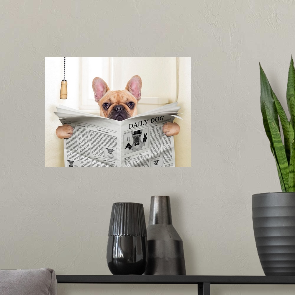 A modern room featuring Fawn French bulldog dog sitting on toilet and reading magazine.