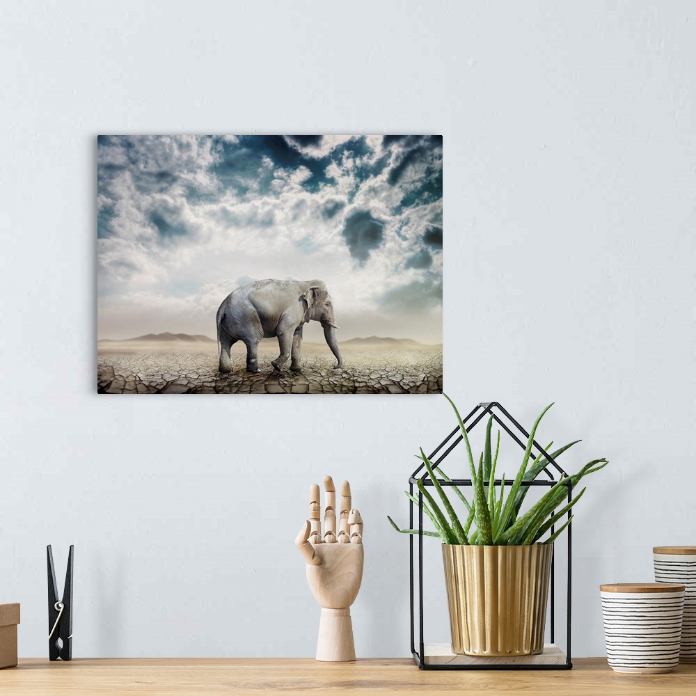 A bohemian room featuring Elephant In The Desert